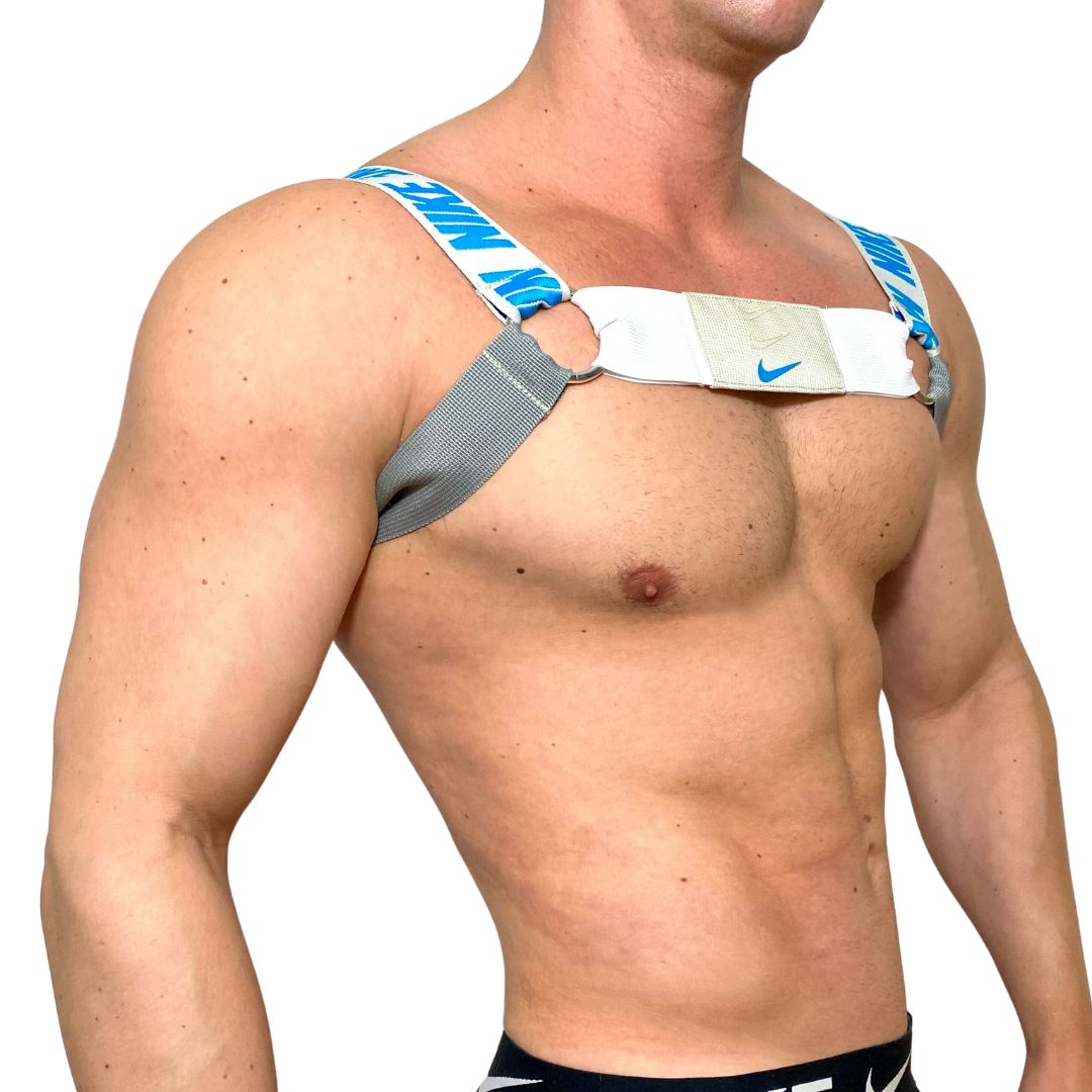 Nike Air Max Sport Blue Gray Harness