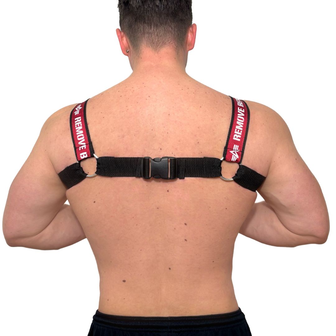 Alpha Industries Harness 4.0