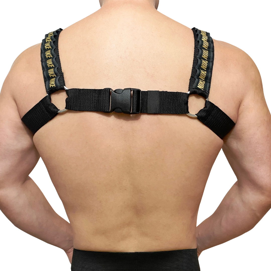 Nike Air Max Gold Bullet Harness 2.0